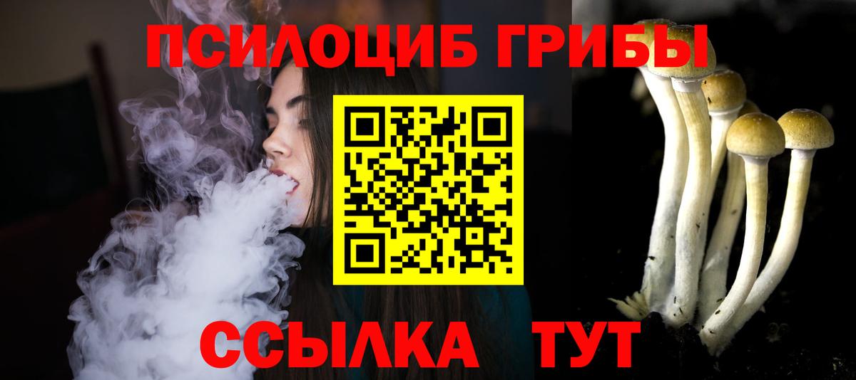 Псилоцибиновые грибы мицелий Россошь